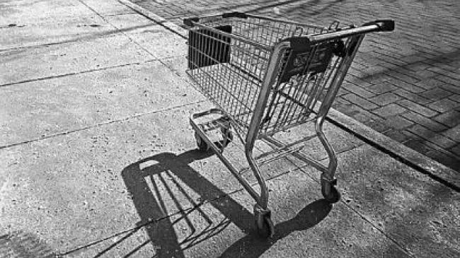 grocery cart